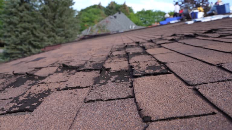 Best Slate Roofing  in Goshen, KY